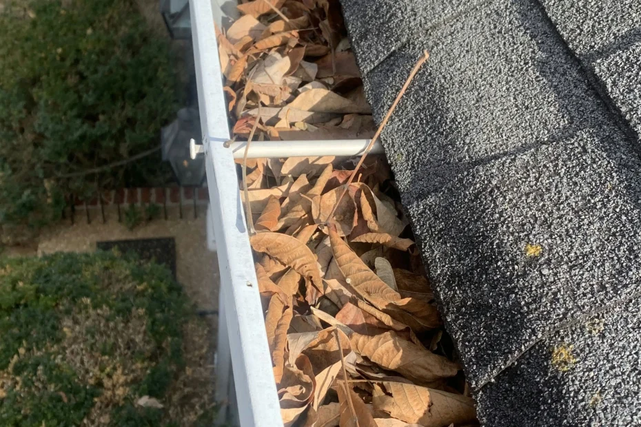 Gutter Cleaning Briarcliff TX