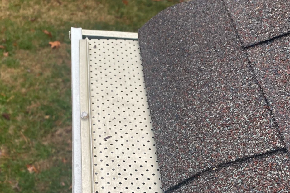 Gutter Cleaning Briarcliff TX