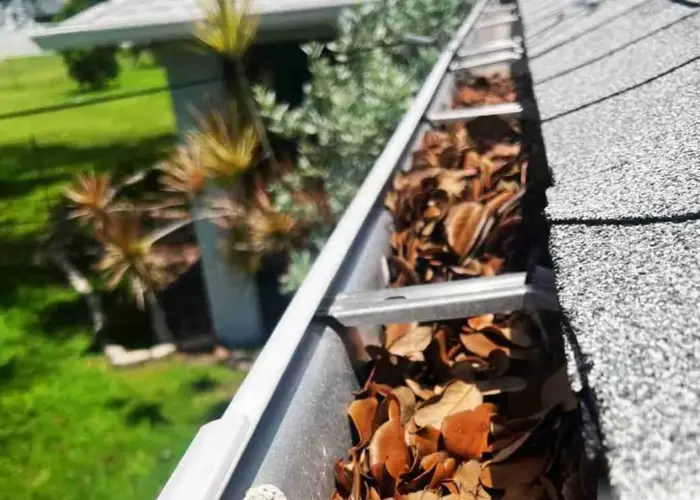 Gutter Cleaning Briarcliff TX home page